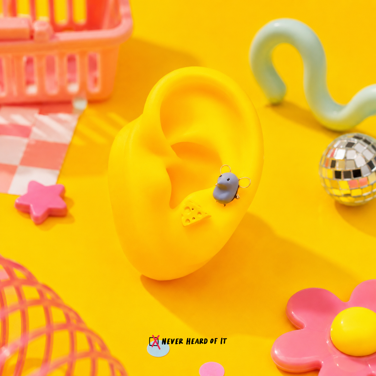 Remy And His Fav Mismatched Resin Studs